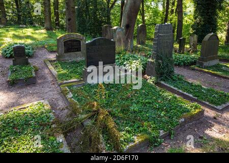 Deutschland, Dorsten-Feldmark, Lippe, Ruhr, Hohe Mark Westmuensterland nature Park, Muensterland, Westphalie, Rhénanie-du-Nord-Westphalie, Juedischer Friedhof dans le parc naturel de Hasselbecke, également appelé Judenbusch, Graeber, graviers *** Légende locale *** Banque D'Images