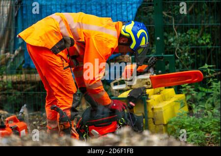 Denham, Royaume-Uni. 16 octobre 2020. HS2 étaient à nouveau en travail aujourd'hui dans le parc régional normalement tranquille de Denham, détruisant des arbres matures. C'est en préparation pour un nouveau pont temporaire qui est en cours de construction pour amener leurs camions et l'équipement à travers le délicat ruisseau de craie rivière Colne. Les arbres abattus aujourd'hui par HS2 étaient juste à côté de la limite du camp de protection de Denham Ford où les militants de l'environnement HS2 Rebellion anti HS2 vivent dans les bois. Ce matin, un arbre mûr abattu par HS2 s'est écrasé à travers des clôtures haute sécurité HS2 sur un sentier près de l'endroit où un manifestant filmait Banque D'Images