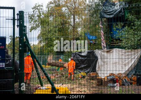 Denham, Royaume-Uni. 16 octobre 2020. HS2 étaient à nouveau en travail aujourd'hui dans le parc régional normalement tranquille de Denham, détruisant des arbres matures. C'est en préparation pour un nouveau pont temporaire qui est en cours de construction pour amener leurs camions et l'équipement à travers le délicat ruisseau de craie rivière Colne. Les arbres abattus aujourd'hui par HS2 étaient juste à côté de la limite du camp de protection de Denham Ford où les militants de l'environnement HS2 Rebellion anti HS2 vivent dans les bois. Ce matin, un arbre mûr abattu par HS2 s'est écrasé à travers des clôtures haute sécurité HS2 sur un sentier près de l'endroit où un manifestant filmait Banque D'Images