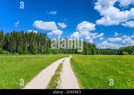 Allemagne, Bavière, haute-Bavière, pays de Tölzer, Königsdorf, quartier de Wiesen, paysage culturel près de Bibisee Banque D'Images