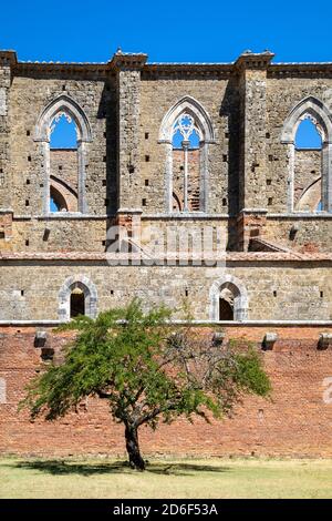 Ruines de l'abbaye de San Galgano, vue extérieure, municipalité de Chiusdino, province de Sienne, Toscane, Italie Banque D'Images