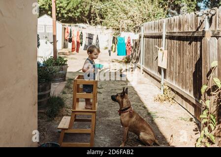 Un jeune garçon et un chiot jouent ensemble à l'extérieur dans la cour Banque D'Images