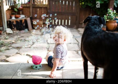 Garçon de deux ans regardant sur l'épaule avec des bulles et Chien noir Banque D'Images