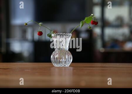 Cliché sélectif de brindilles aux baies rouges sauvages fraises dans un vase Banque D'Images