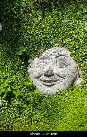 Statue de jardin en pierre de Bouddha souriant. Pensé pour apporter la chance, l'abondance et le contentement. Visage entouré de feuilles vertes de bébé feuillage. Banque D'Images
