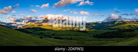 Vue panoramique de la campagne agricole vallonnée avec des pâturages verts, des arbres et des huttes en bois à Seiser Alm, Alpe di Siusi, la montagne Plattkofel, Banque D'Images