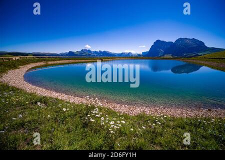 Lac artificiel à Seiser Alm, Alpe di Siusi, la montagne Plattkofel, Sasso Piatto, au loin. Banque D'Images