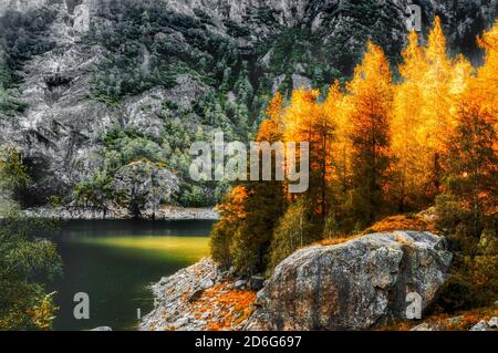 Ray des lumières sur les arbres, lac Antrona - Piémont, Italie Banque D'Images