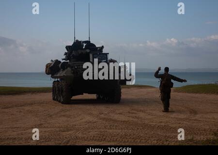 OKINAWA, Japon (oct 10, 2020) UNE Marine américaine avec une équipe de Bataillon Landing, 2e Bataillon, 4e Marines, 31e unité expéditionnaire maritime (UMM), conduit un véhicule blindé léger pendant l'exercice Noble Fury 21. Germantown, qui fait partie de l'America Amphiobie Readiness Group (ARG), la 31e équipe du MEU, opère dans la zone d'opérations de la 7e flotte des États-Unis pour améliorer l'interopérabilité avec les alliés et les partenaires et servir de force de réaction prête à défendre la paix et la stabilité dans la région Indo-Pacifique. (É.-U. Photo du corps marin par lance Cpl. Kolby léger). Banque D'Images