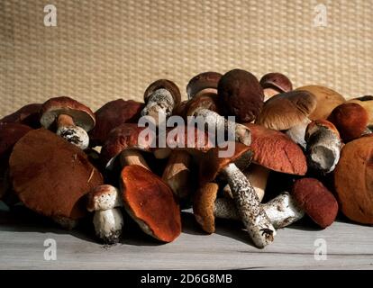 Une pile de champignons de la forêt noble boletus et de calotte rouge boletus couché sur une planche en bois Banque D'Images