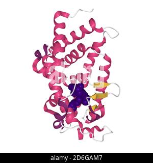 Structure cristalline du domaine de liaison du ligand VDR complexé au calcipotriol (bleu), modèle boule et bâton 3D, fond blanc Banque D'Images