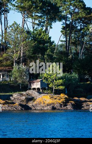 Petite pierre grenier typique (horreo) sur les rochers au bord de la mer dans les Rias Baixas en Galice, Espagne. Banque D'Images