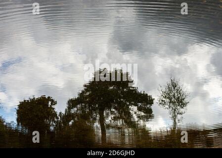 Ondulations dans l'eau, reflet du ciel avec des arbres Banque D'Images