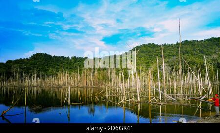 Un homme pêche dans un beau lac en Malaisie. Magnifique ciel bleu avec arbres morts dans la forêt autour d'un lac..SHAH ALAM, MALAISIE, 10/10/2020 Banque D'Images