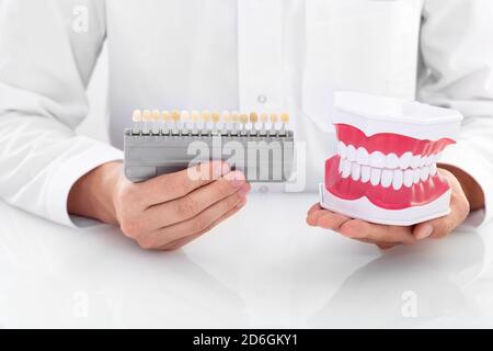 médecin montrant un modèle anatomique de dents humaines et dents blanchissant palette dentaire. Le concept de blanchiment dentaire en stomatologie Banque D'Images