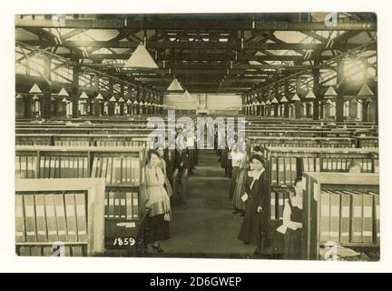 Carte postale de l'ère de la WW1 des travailleuses administratives, des commis temporaires de femmes, classement, éventuellement service civil, Bureau du registre général, vers 1916, 1917, Royaume-Uni Banque D'Images