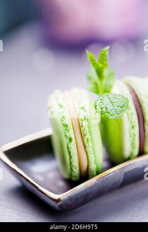 Macarons ou macarons français faits maison. Biscuits à la menthe avec chocolat et crème à la vanille sur fond gris. Copier l'espace Banque D'Images