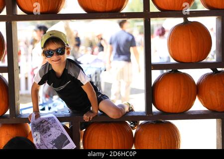 Festival d'automne à Underwood Farms, Moorpark, Californie, États-Unis Banque D'Images