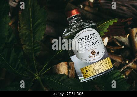 Bouteille de vin sec Conker Spirit Dorset Banque D'Images