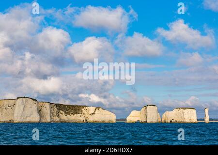 Dorset Royaume-Uni. 17 octobre 2020. Météo au Royaume-Uni : ensoleillé sur la côte du Dorset, les gens profitant au maximum du soleil automnal. Les pinacles de craie d'Old Harry Rocks, montrant Harry et sa femme, vus de la mer le long de la côte jurassique. Crédit : Carolyn Jenkins/Alay Live News Banque D'Images