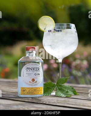 Grand verre gin et tonique contenant de la glace et du citron avec Conker Dorset Dry Gin bouteille avec des buissons de lavande à la lumière du soleil d'été sur la table Banque D'Images