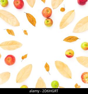 Composition du cadre d'automne. Feuilles séchées et fruits aux pommes sur fond blanc. Flat lay, vue de dessus, espace de copie Banque D'Images