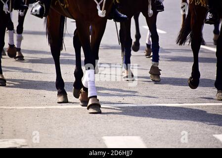 Groupe de chevaux en train de courir sur la route dans une course Banque D'Images