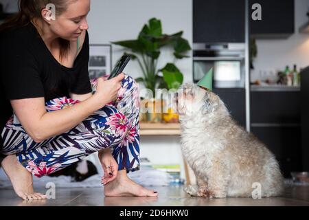 Une jeune femme prenant une photo de son chien portant un chapeau d'anniversaire Banque D'Images