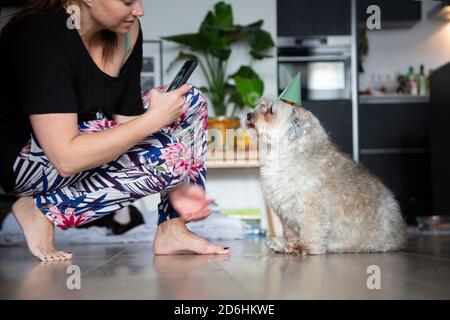 Une jeune femme prenant une photo du chien d'anniversaire Banque D'Images