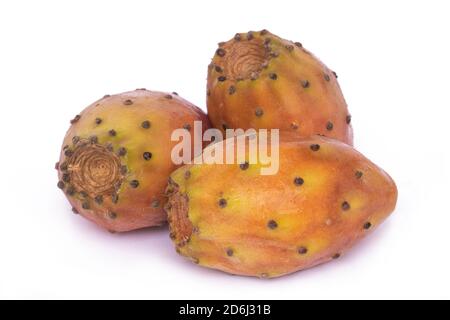 Opuntia Cactus fruit Barbary figue (figuier épineux) sur fond blanc isolé Banque D'Images