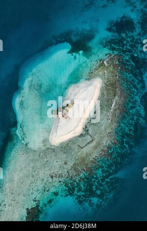 Vue aérienne, île tropicale avec palmiers et huttes, îles San Blas, Panama Banque D'Images