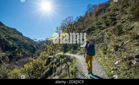Randonneur sur le sentier de randonnée Vereda de la Estrella, derrière la Sierra Nevada avec les sommets de Mulhacen et la Alcazaba, montagnes enneigées près de Grenade Banque D'Images