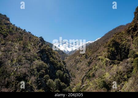 Vue sur les montagnes enneigées de la Sierra Nevada avec les sommets de Mulhacen et de la Alcazaba, Andalousie, Espagne Banque D'Images