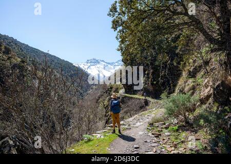 Deux randonneurs sur un sentier, sentier de randonnée Vereda de la Estrella, derrière la Sierra Nevada avec les sommets Mulhacen et la Alcazaba, montagnes enneigées à proximité Banque D'Images