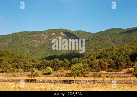 Ida Mountain-Kaz Daglari En Turquie. (En turc: Kazdagi, signifiant Goose Mountain), Turquie. Belle nature..la montagne Ida a des plantes et des arbres endémiques Banque D'Images