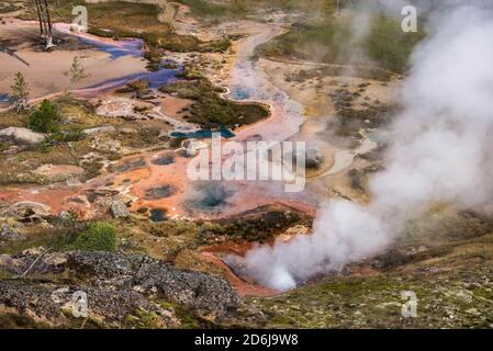 Geysers à vapeur, Norris Geyser Basin, parc national de Yellowstone, Wyoming, États-Unis Banque D'Images