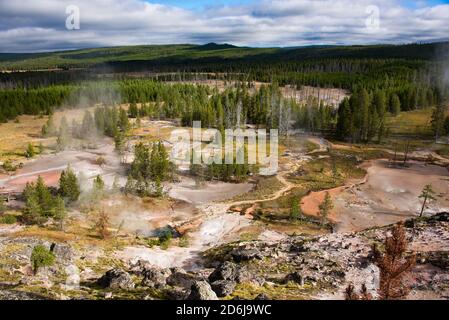 Geysers à vapeur, Norris Geyser Basin, parc national de Yellowstone, Wyoming, États-Unis Banque D'Images