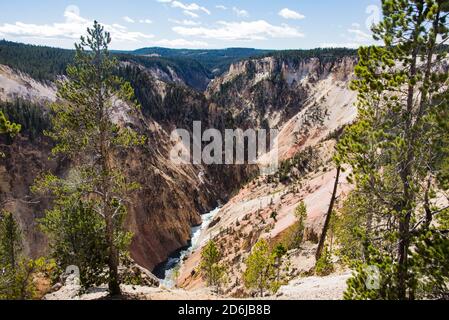 Rivière Yellowstone et Grand Canyon vus de Lower Falls, parc national de Yellowstone, Wyoming, États-Unis Banque D'Images