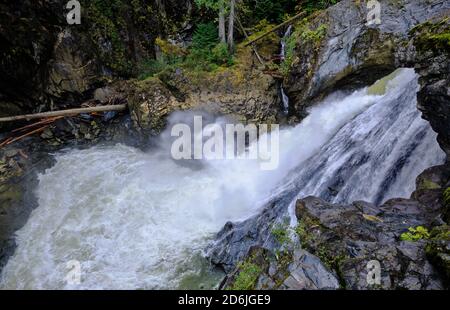 En regardant la cataracte des chutes de Nairn dans la piscine de plongée formée de Green River de Whistler se dégringolent sur le bord, pleine de la pluie d'octobre Banque D'Images