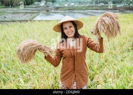 Les agricultrices asiatiques sourient tout en portant un chapeau debout transport de plants de riz dans les champs après la récolte Banque D'Images