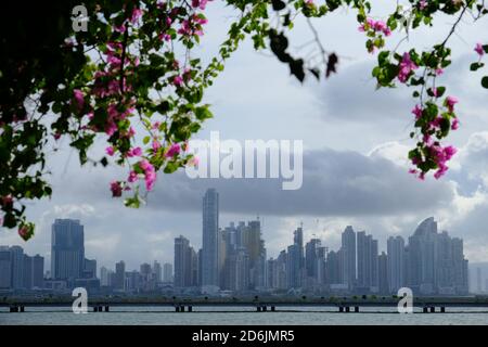 Panama City - Panama City Skyline encadré par des arbres en fleurs Banque D'Images