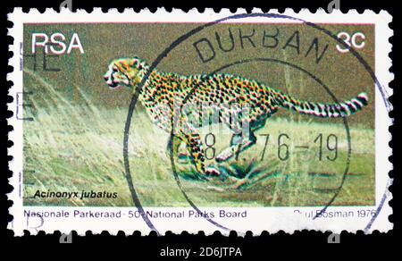 MOSCOU, RUSSIE - 15 SEPTEMBRE 2020: Timbre-poste imprimé en Afrique du Sud montre Cheetah (Acinonyx jubatus), série Fauna (1960), vers 1976 Banque D'Images