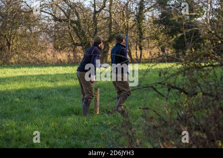 Pousse-pousse de faisan dans le Lancashire, en Angleterre Banque D'Images