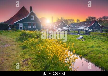 Magnifique paysage matinal avec maisons traditionnelles en bois dans le village de Zaanse Schans au lever du soleil, pays-Bas, Europe Banque D'Images