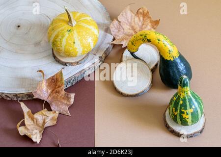 Citrouilles décoratives, feuilles sèches et cercles en bois sur fond de ceinture marron. Composition du bilan d'automne, vue du dessus. Banque D'Images