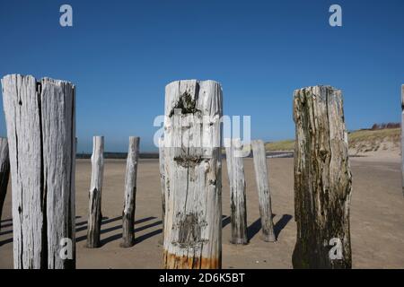 Poteaux en bois d'un système de protection contre l'érosion de plage le long de la plage à la ville de Vlissingen dans la province de Zeeland aux pays-Bas. Banque D'Images