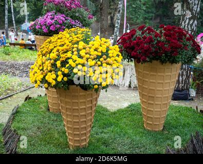 Russie, Voronezh - 2019 septembre 08: Lits de fleurs sous forme de cônes de glace Banque D'Images