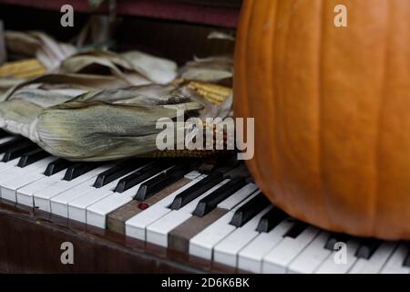 Une grande citrouille orange se dresse sur les touches blanches et noires d'un vieux piano à côté des oreilles sèches de maïs jaune. Décoration et décor pour Halloween. Dar Banque D'Images