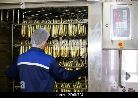 Usine de poisson.UN travailleur pousse une charrette de poisson fumée dans un four industriel. Banque D'Images