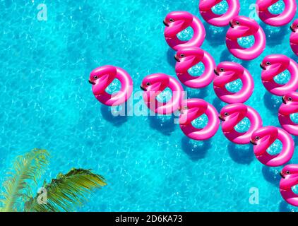 Un grand groupe de bouées gonflables de flamants nagent dans la natation vue sur la piscine depuis le dessus et le palmier Banque D'Images
